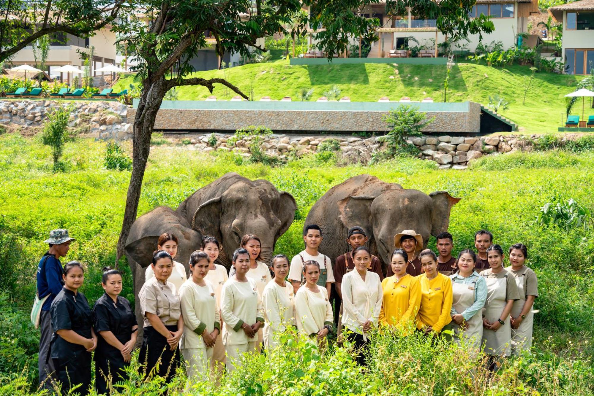 Wild Cottages Elephant Sanctuary Resort Amphoe Koksamui Bagian luar foto