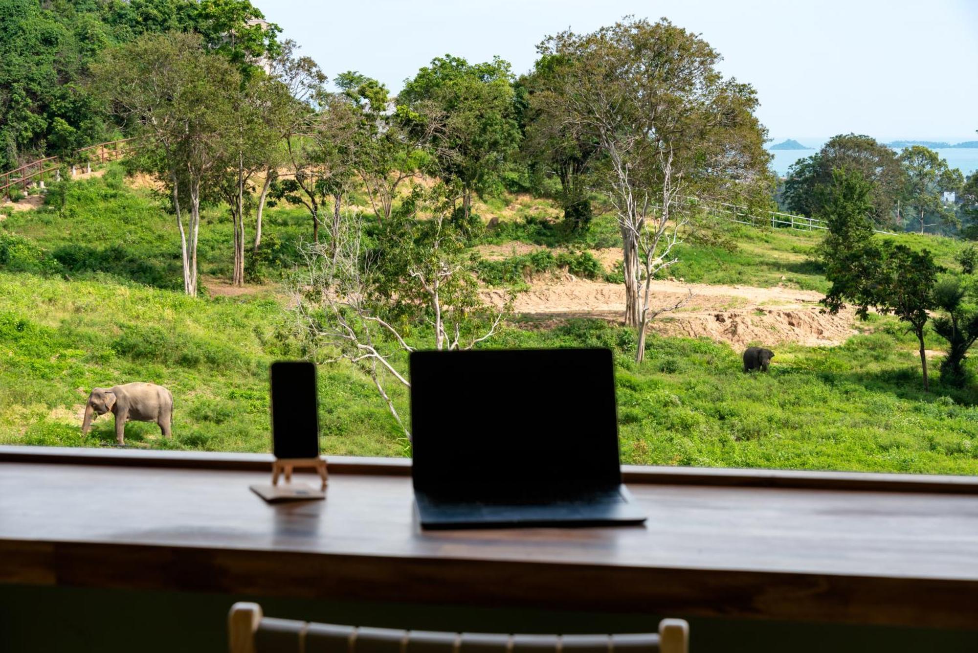 Wild Cottages Elephant Sanctuary Resort Amphoe Koksamui Bagian luar foto