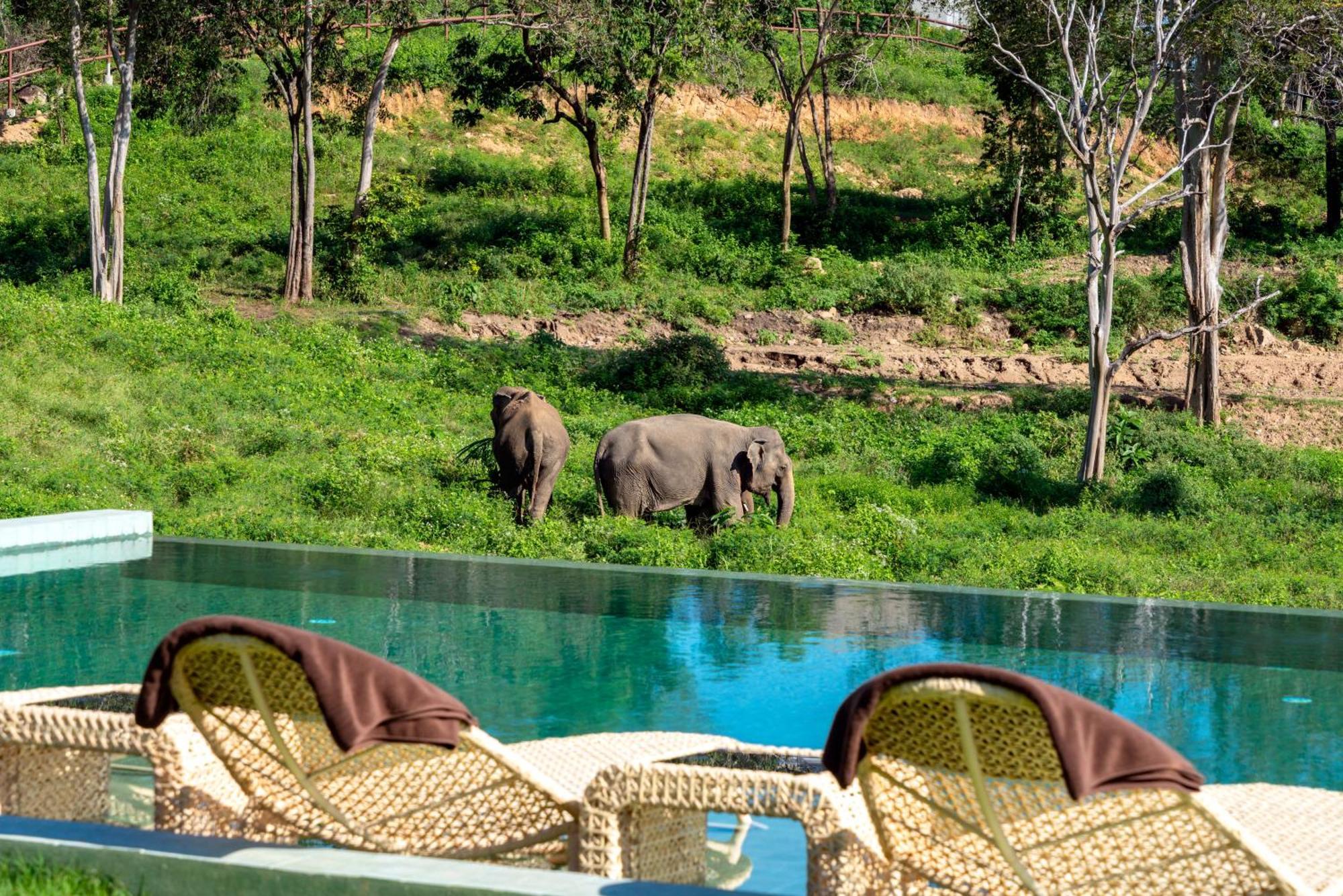 Wild Cottages Elephant Sanctuary Resort Amphoe Koksamui Bagian luar foto