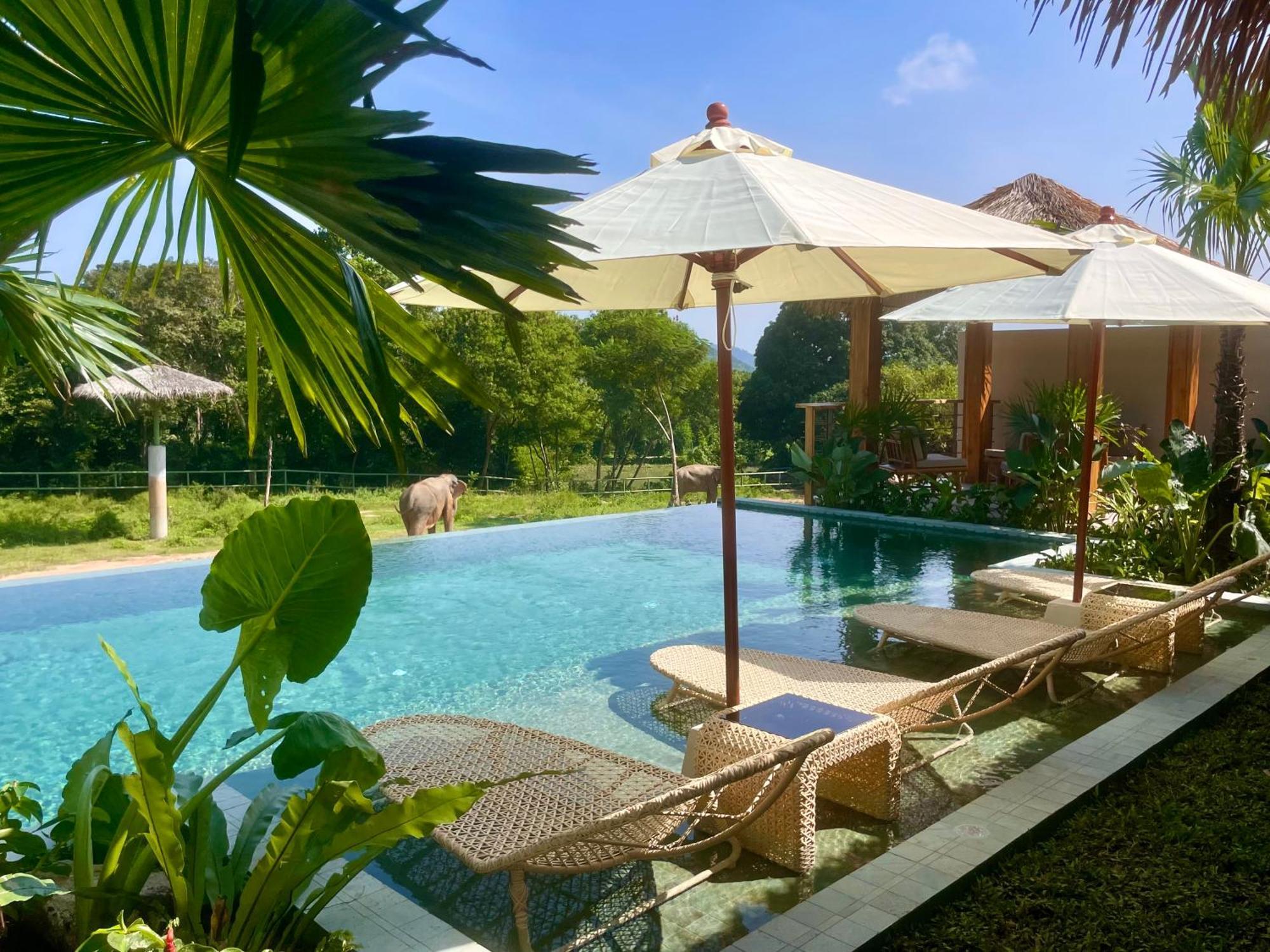 Wild Cottages Elephant Sanctuary Resort Amphoe Koksamui Bagian luar foto