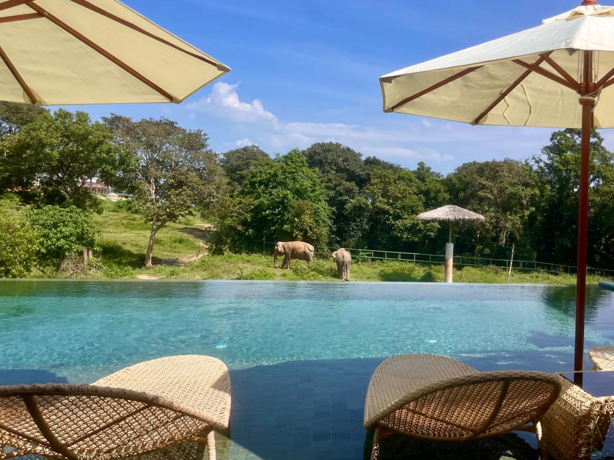 Wild Cottages Elephant Sanctuary Resort Amphoe Koksamui Bagian luar foto