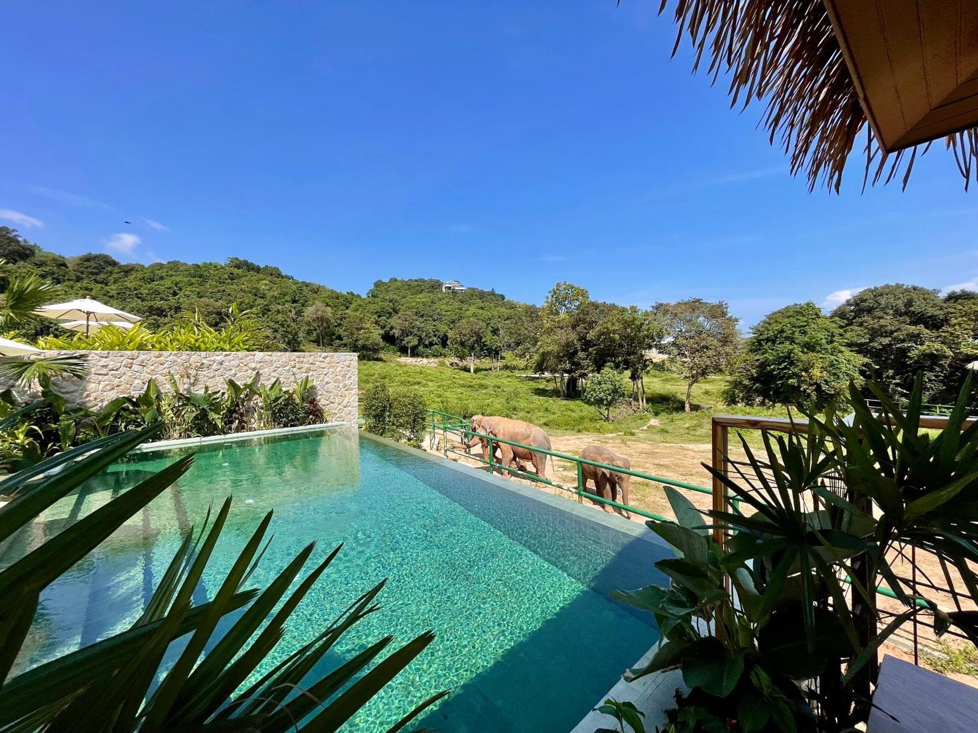 Wild Cottages Elephant Sanctuary Resort Amphoe Koksamui Bagian luar foto