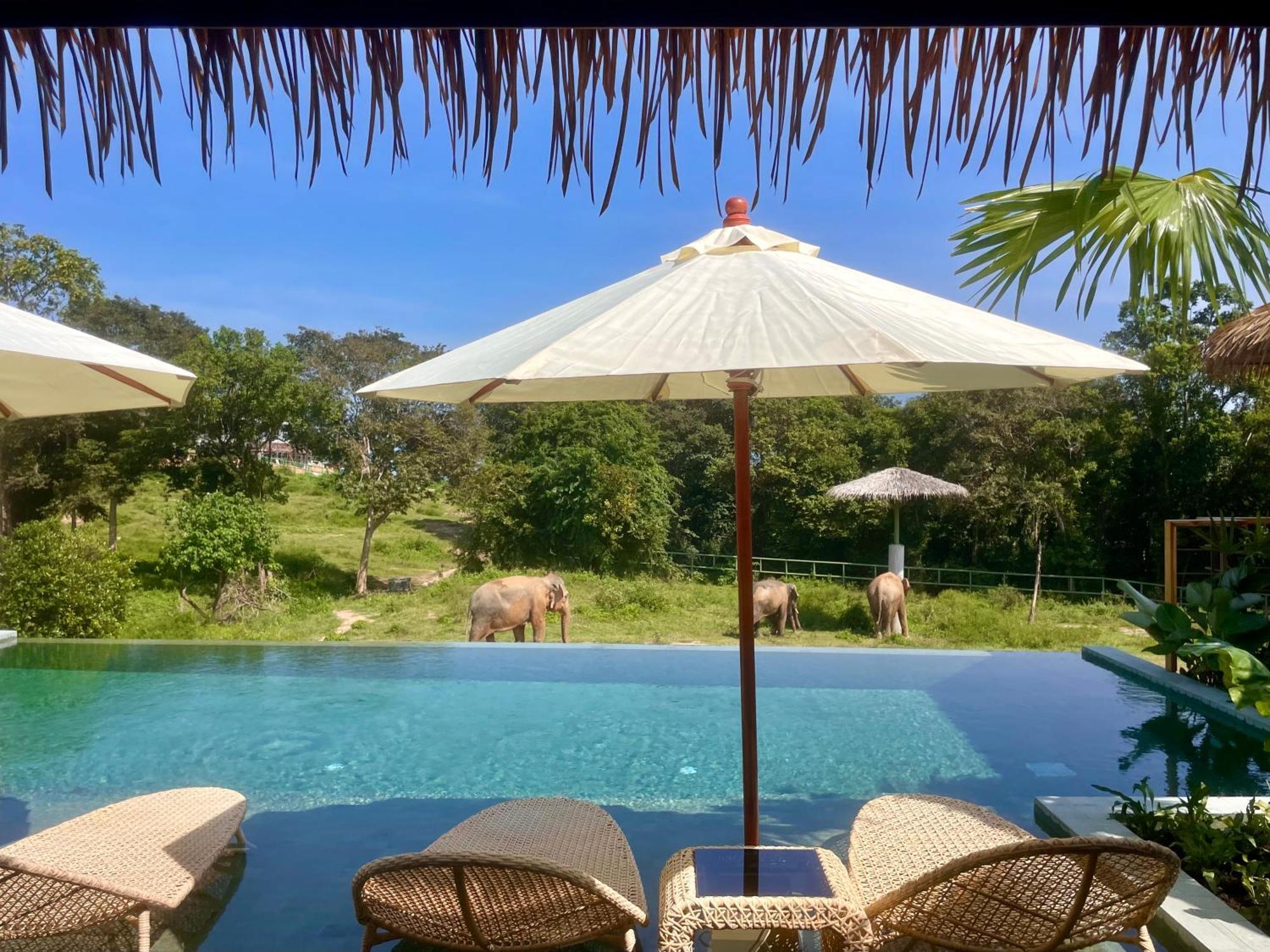 Wild Cottages Elephant Sanctuary Resort Amphoe Koksamui Bagian luar foto